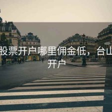 台州股票开户哪里佣金低，台山股票开户