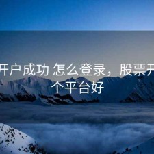 股票开户成功 怎么登录，股票开户哪个平台好