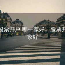 新人股票开户 哪一家好，股票开户谁家好
