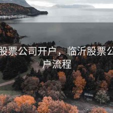 临沂股票公司开户，临沂股票公司开户流程