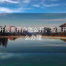 股票开股票开户怎么开，股票开户怎么办理