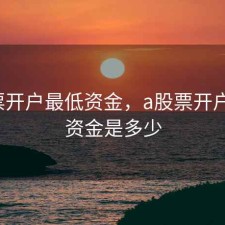 a股票开户最低资金，a股票开户最低资金是多少