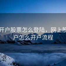 网上开户股票怎么登陆，网上股票开户怎么开户流程