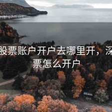 深圳股票账户开户去哪里开，深圳股票怎么开户