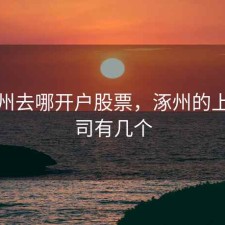 在涿州去哪开户股票，涿州的上市公司有几个