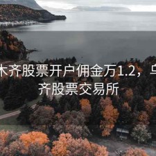 乌鲁木齐股票开户佣金万1.2，乌鲁木齐股票交易所