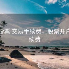 开户股票 交易手续费，股票开户的手续费