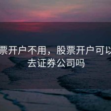 买股票开户不用，股票开户可以不用去证券公司吗