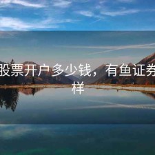 有鱼股票开户多少钱，有鱼证券怎么样