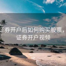 东吴证券开户后如何购买股票，东吴证券开户视频