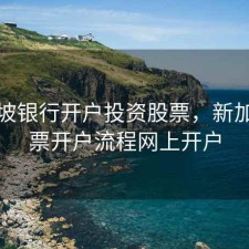 新加坡银行开户投资股票，新加坡股票开户流程网上开户