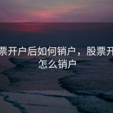 买股票开户后如何销户，股票开户后怎么销户