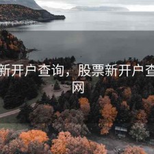 股票新开户查询，股票新开户查询官网