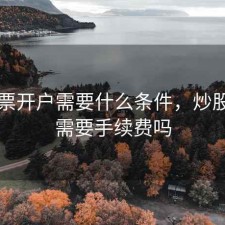 炒股票开户需要什么条件，炒股开户需要手续费吗