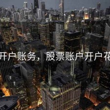 股票开户账务，股票账户开户花钱吗