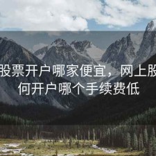 网上股票开户哪家便宜，网上股票如何开户哪个手续费低
