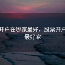 股票开户在哪家最好，股票开户哪家最好家