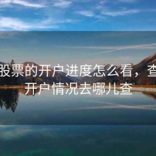 网上股票的开户进度怎么看，查股票开户情况去哪儿查