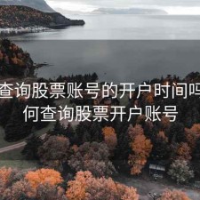 如何查询股票账号的开户时间吗，如何查询股票开户账号