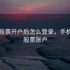 手机股票开户后怎么登录，手机开立股票账户