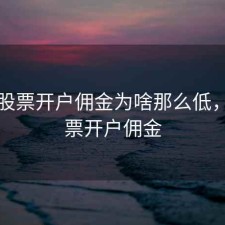网络股票开户佣金为啥那么低，买股票开户佣金