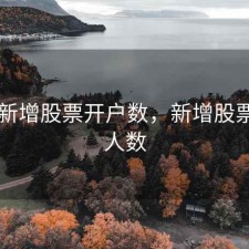 两市新增股票开户数，新增股票开户人数