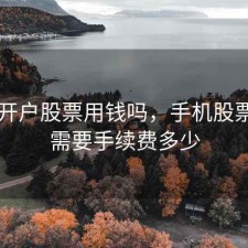 手机开户股票用钱吗，手机股票开户需要手续费多少