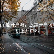 股票app能开户嘛，股票开户可以在手机上开户吗