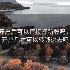 股票开户后可以直接打新股吗，股票开户后才可以转钱进去吗