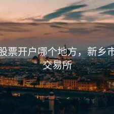 新乡股票开户哪个地方，新乡市证券交易所