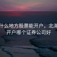 北海什么地方股票能开户，北海股票开户哪个证券公司好
