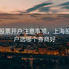 上海股票开户注意事项，上海股票开户选哪个券商好