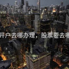股票开户去哪办理，股票要去哪开户