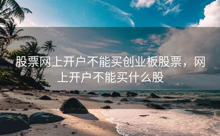 股票网上开户不能买创业板股票，网上开户不能买什么股  第2张