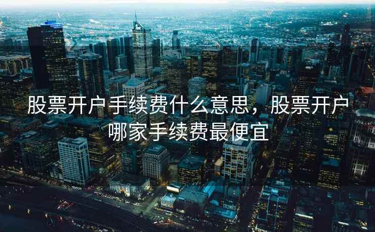 股票开户手续费什么意思，股票开户哪家手续费最便宜  第2张