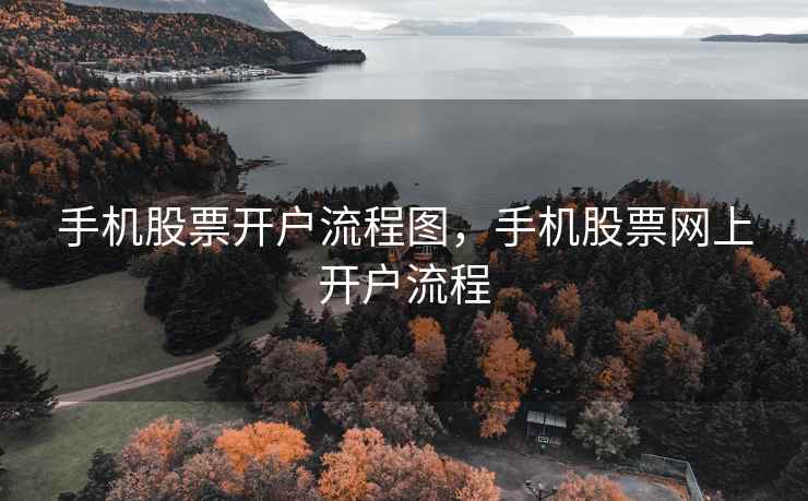 手机股票开户流程图，手机股票网上开户流程  第1张