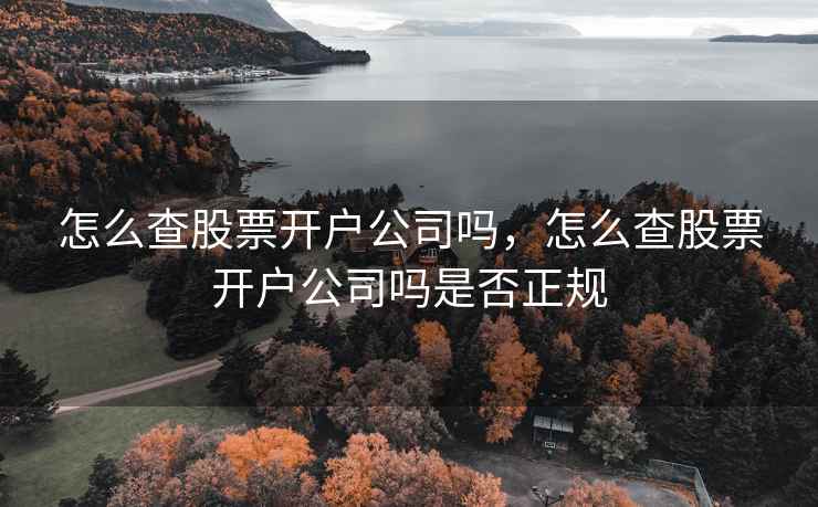怎么查股票开户公司吗，怎么查股票开户公司吗是否正规  第1张