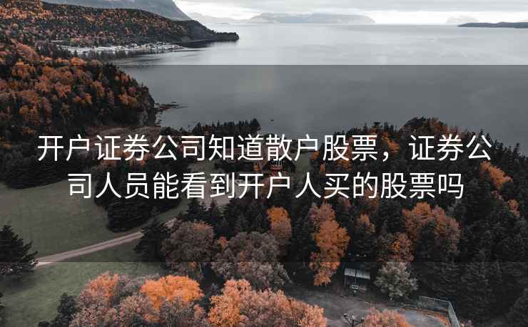 开户证券公司知道散户股票，证券公司人员能看到开户人买的股票吗  第2张