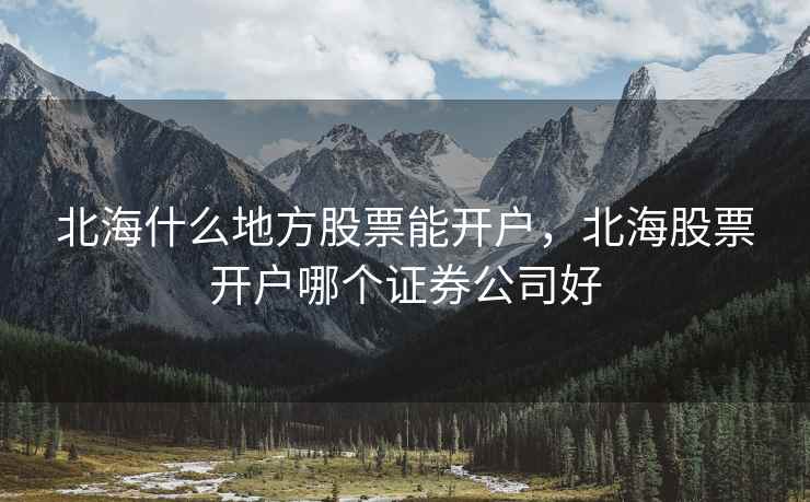 北海什么地方股票能开户，北海股票开户哪个证券公司好  第2张