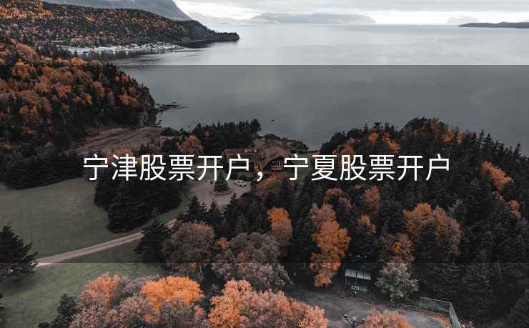宁津股票开户，宁夏股票开户  第2张
