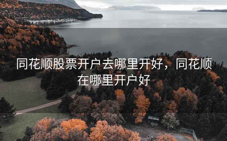 同花顺股票开户去哪里开好，同花顺在哪里开户好  第2张
