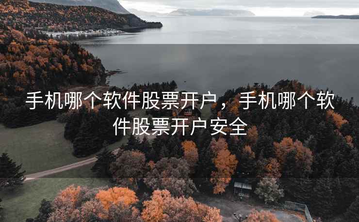 手机哪个软件股票开户，手机哪个软件股票开户安全  第2张