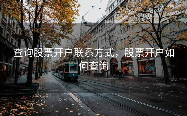 查询股票开户联系方式，股票开户如何查询  第2张