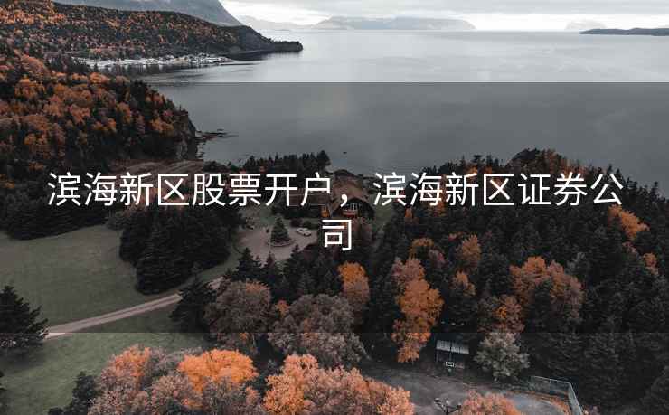 滨海新区股票开户，滨海新区证券公司  第1张