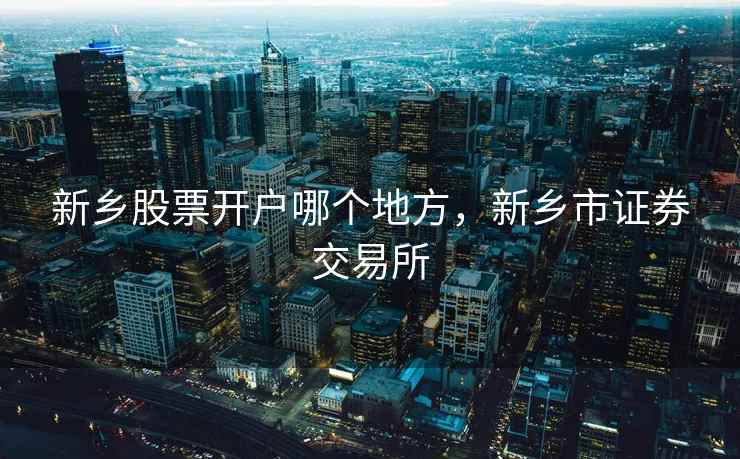 新乡股票开户哪个地方，新乡市证券交易所  第2张