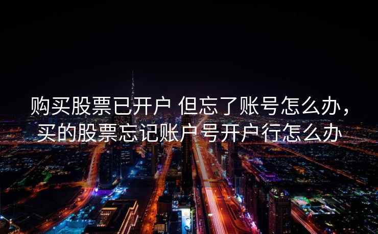 购买股票已开户 但忘了账号怎么办，买的股票忘记账户号开户行怎么办  第1张