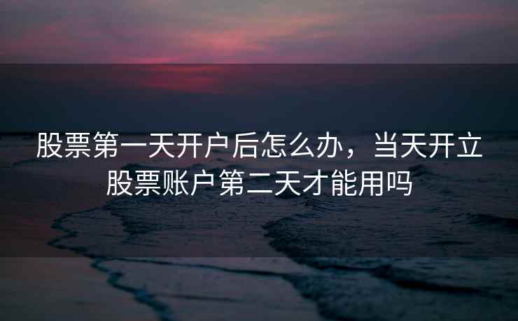 股票第一天开户后怎么办，当天开立股票账户第二天才能用吗  第2张