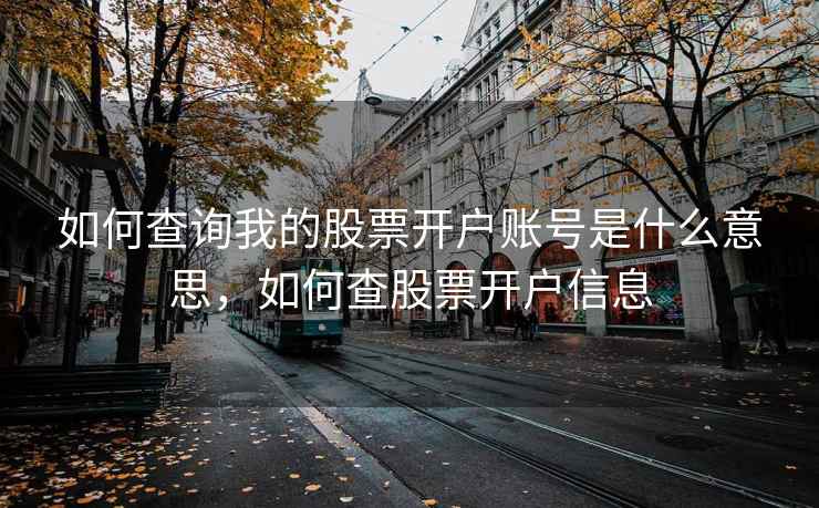 如何查询我的股票开户账号是什么意思，如何查股票开户信息  第2张