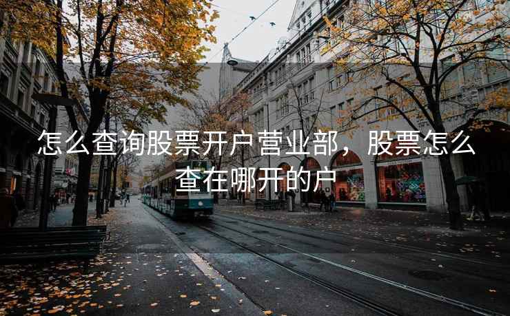 怎么查询股票开户营业部，股票怎么查在哪开的户  第1张