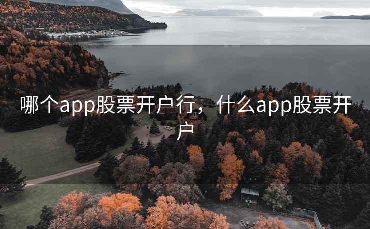 哪个app股票开户行，什么app股票开户  第1张